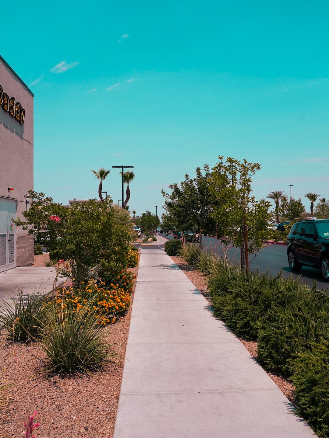 Sidewalk lined with greenery and flowers under a clear blue sky, leading to a shopping area.