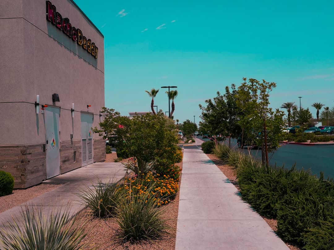 Exterior view of a storefront with a walkway lined by shrubs and flowers on a sunny day.