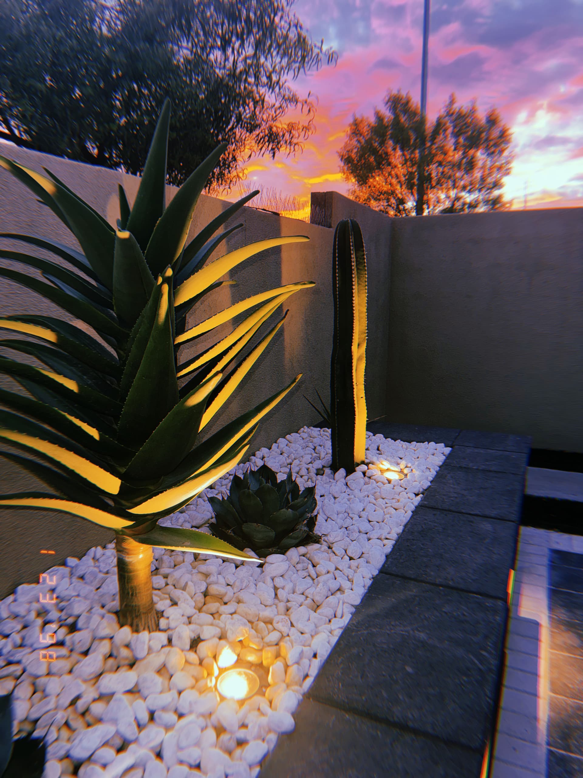 Elevate Your Las Vegas Evenings with Stunning Backyard Design