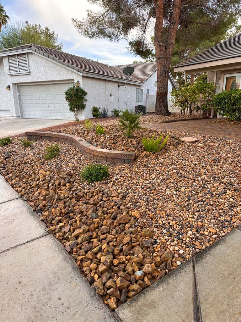 Gallery photos for Front Yard Grass Conversion with the SNWA Water Smart Rebate: Image #2