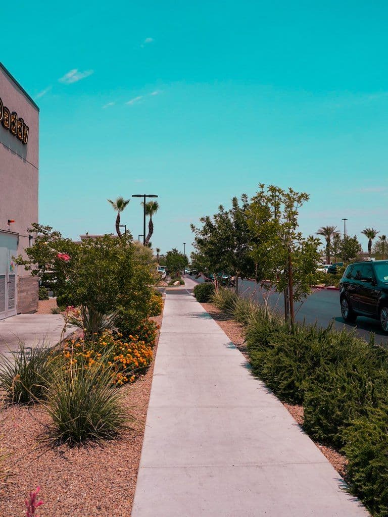 Gallery photos for Transforming Las Vegas Landscapes into Desert Oasis: Image #1