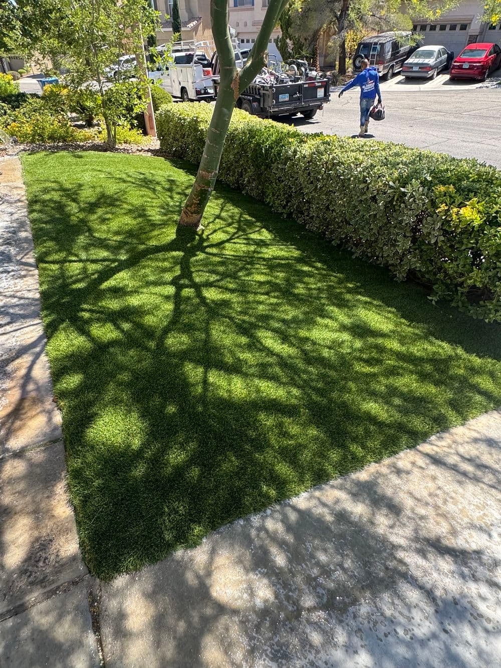 Gallery photos for From Grass to a Water Smart Front Yard: Image #1
