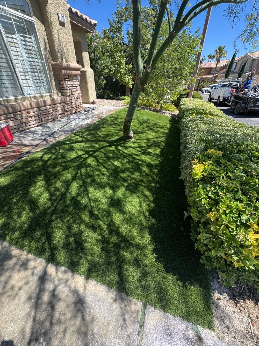 Gallery photos for From Grass to a Water Smart Front Yard: Image #2