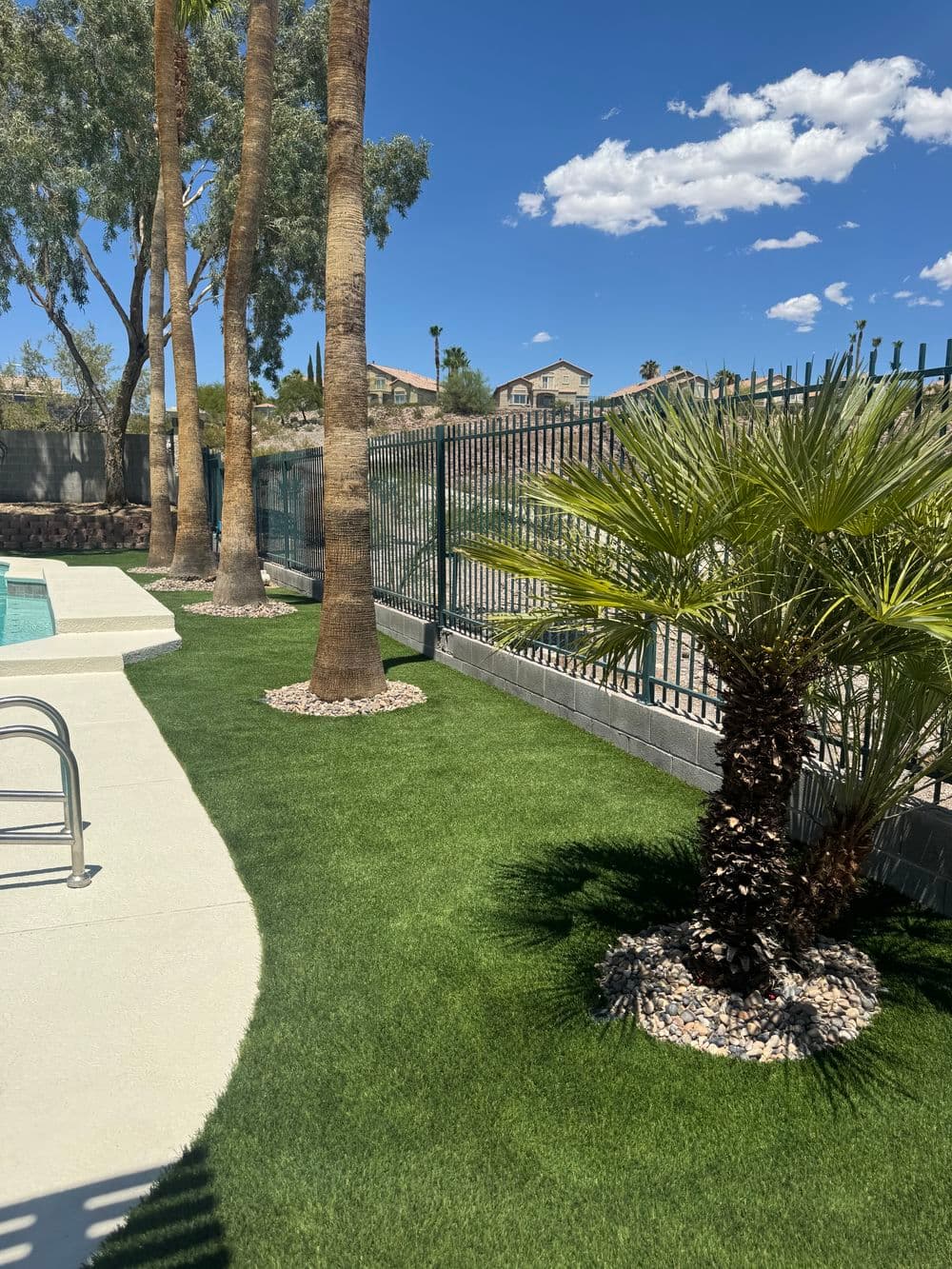 Gallery photos for A Backyard Built for Sports and Play: Image #5