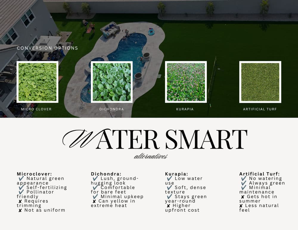 Water Smart alternatives: Micro Clover, Dichondra, Kurapia, and Artificial Turf for low-maintenance lawns.